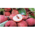 frozen fresh fruit lychee/ fresh lycheefresh fruit from vietnam for export